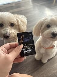 Customer photo review of Purina Pro Plan FortiFlora Dog Probiotic – 30 Sachets for Digestive Support