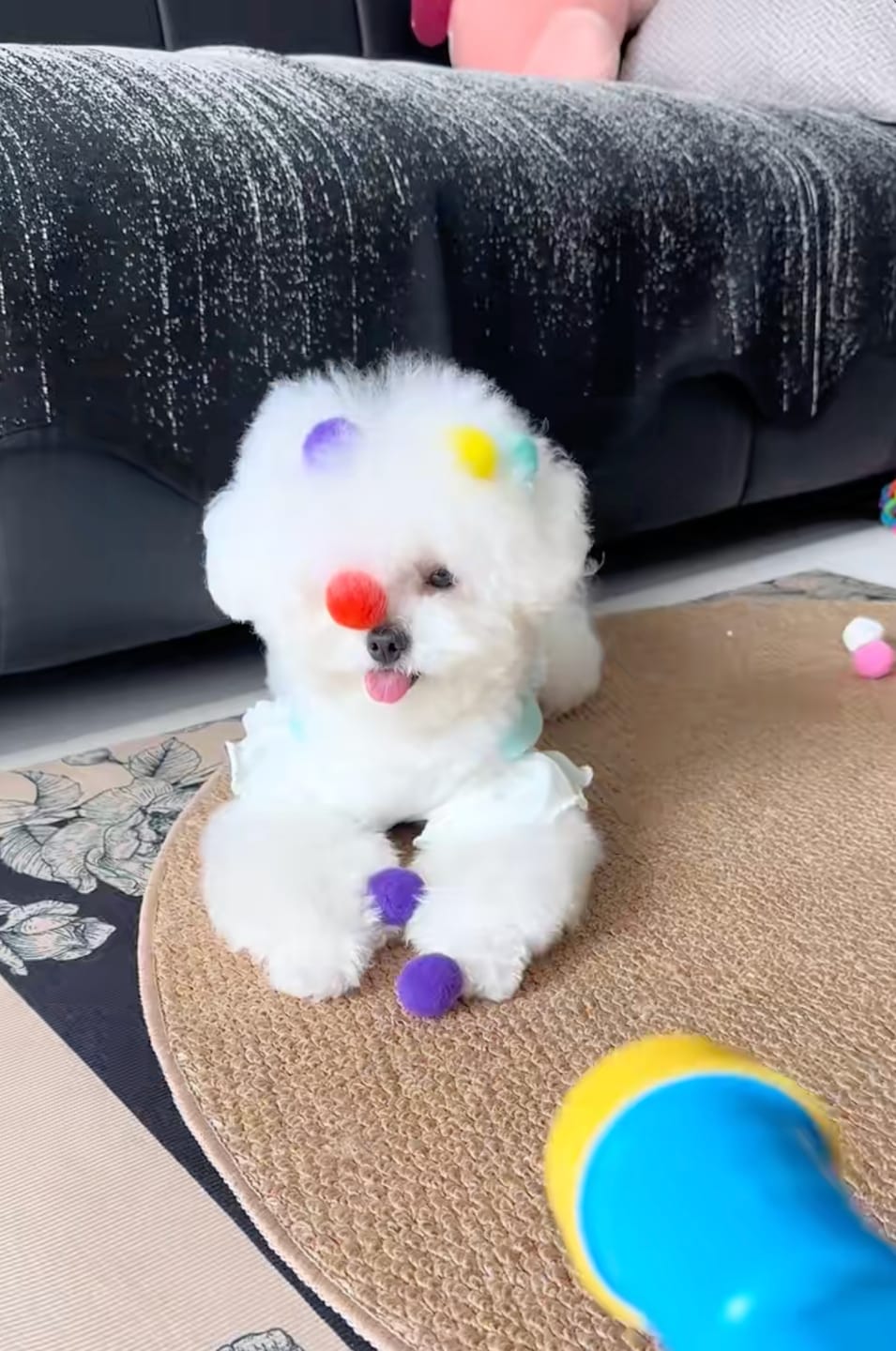 Customer photo review of Calming Puff Launcher (100 x soft fuzzy puff balls)