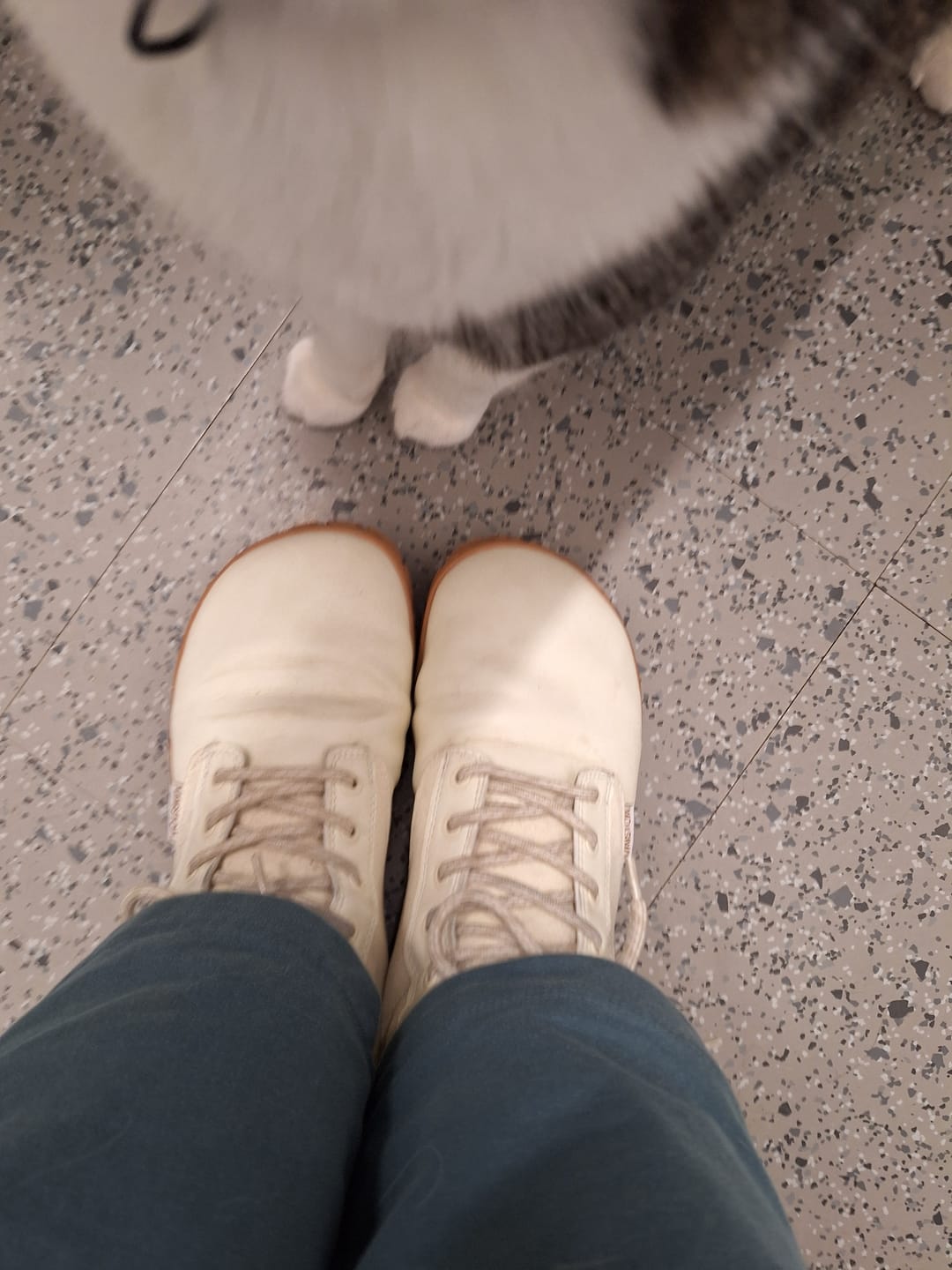 Customer photo review of Vaistoa Hurmos 2 | Casual Winter Barefoot Boots