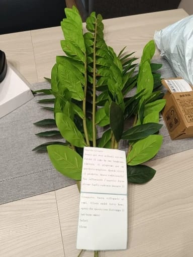 Customer photo review of Fake Ficus Tree Artificial Money