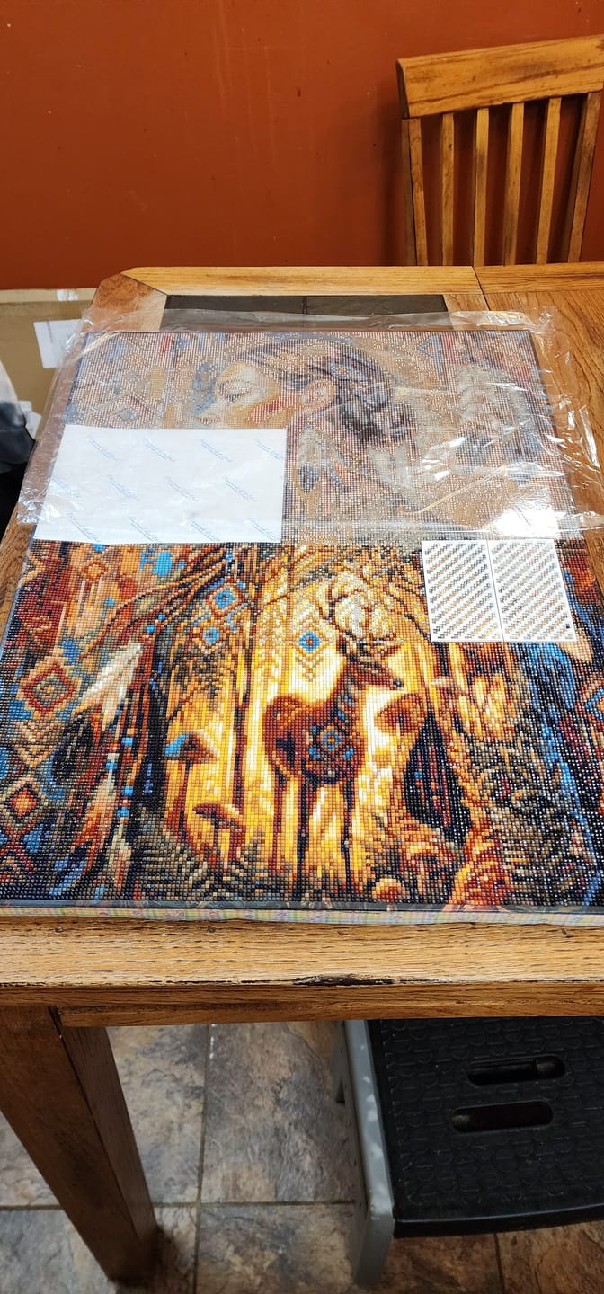 Customer photo review of Indigenous Woman Forest Spirit (Diamond Painting)
