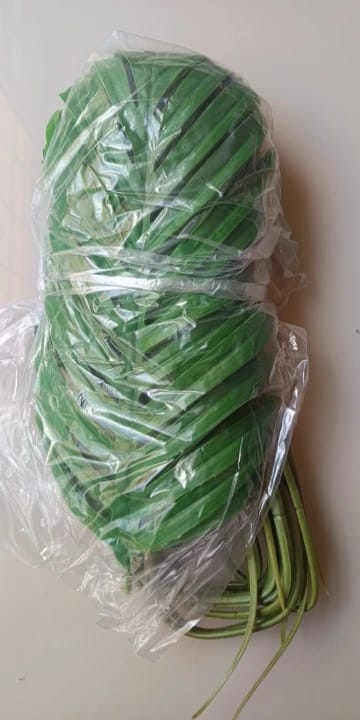 Customer photo review of Outdoor Artificial Green Plants