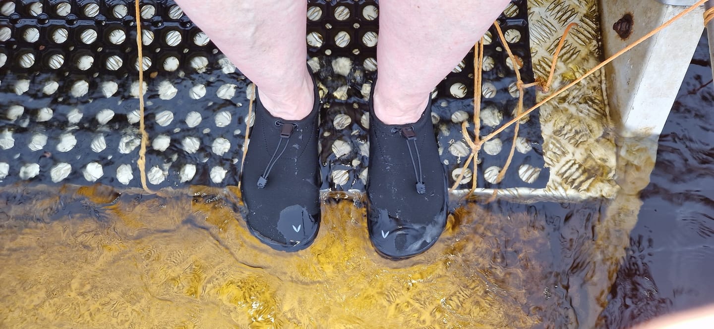 Customer photo review of Vaistoa Vire | Barefoot Ice Swimming Shoes