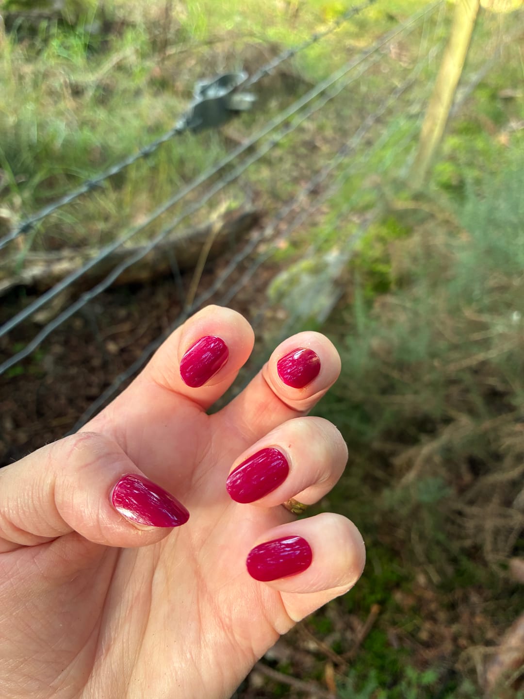 Customer photo review of Velvet Poise