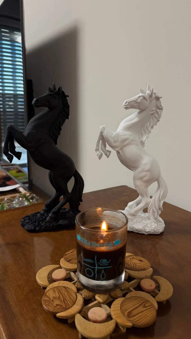 Customer photo review of Victory Horse Resin Statue