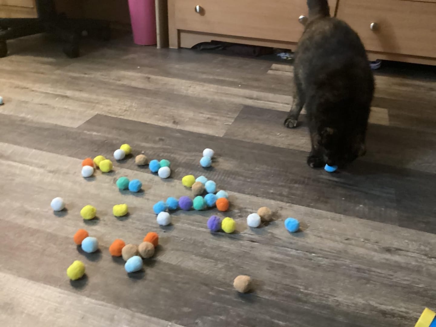 Customer photo review of Calming Puff Launcher (100 x soft fuzzy puff balls)