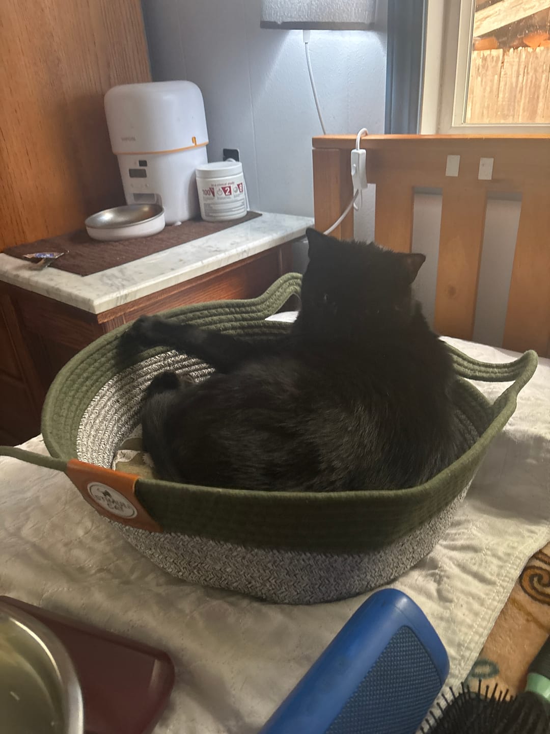 Customer photo review of Instinct Basket | Meet the first research-backed natural territory for indoor cats