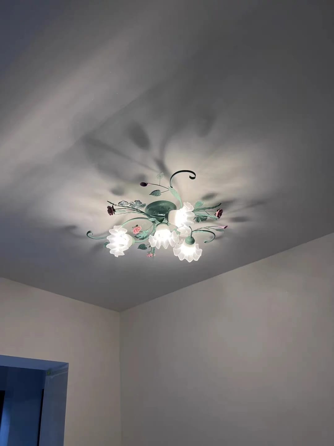 Customer photo review of Glass Rose Ceiling Lamp