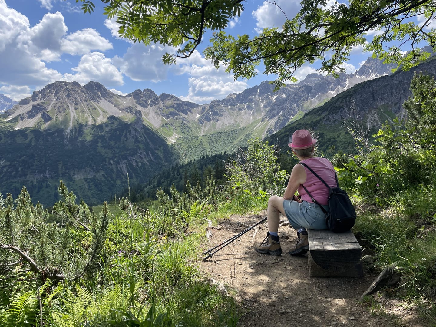Customer photo review of Wanderstöcke Rugova Pro 3 faltbar & höhenverstellbar – Leicht & stabil