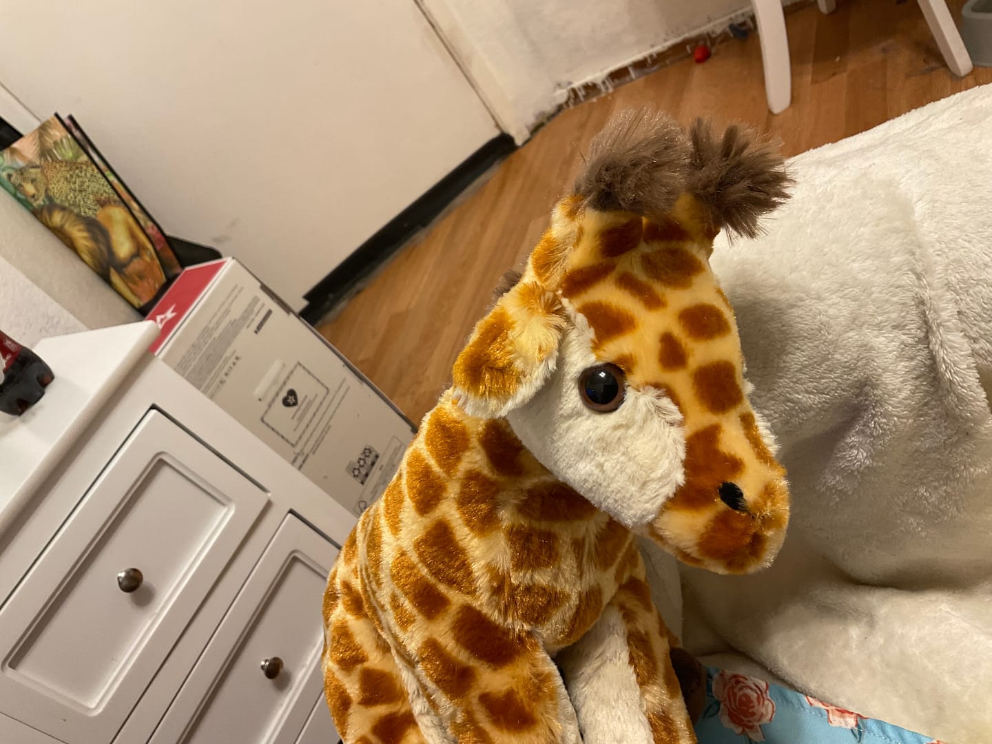 Customer photo review of The Trek Plush