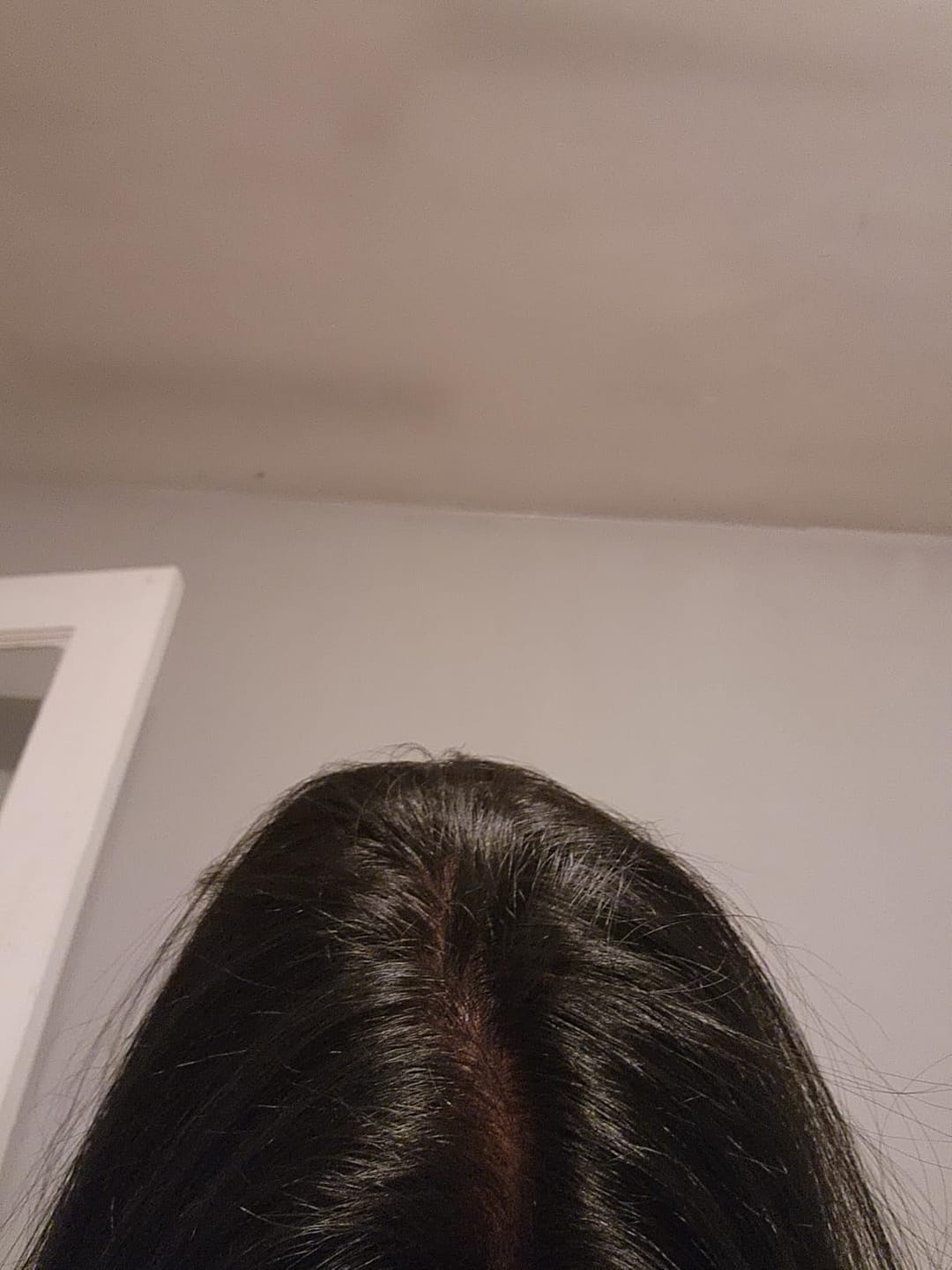 Customer photo review of Nutri Glow Organic Indigo Powder