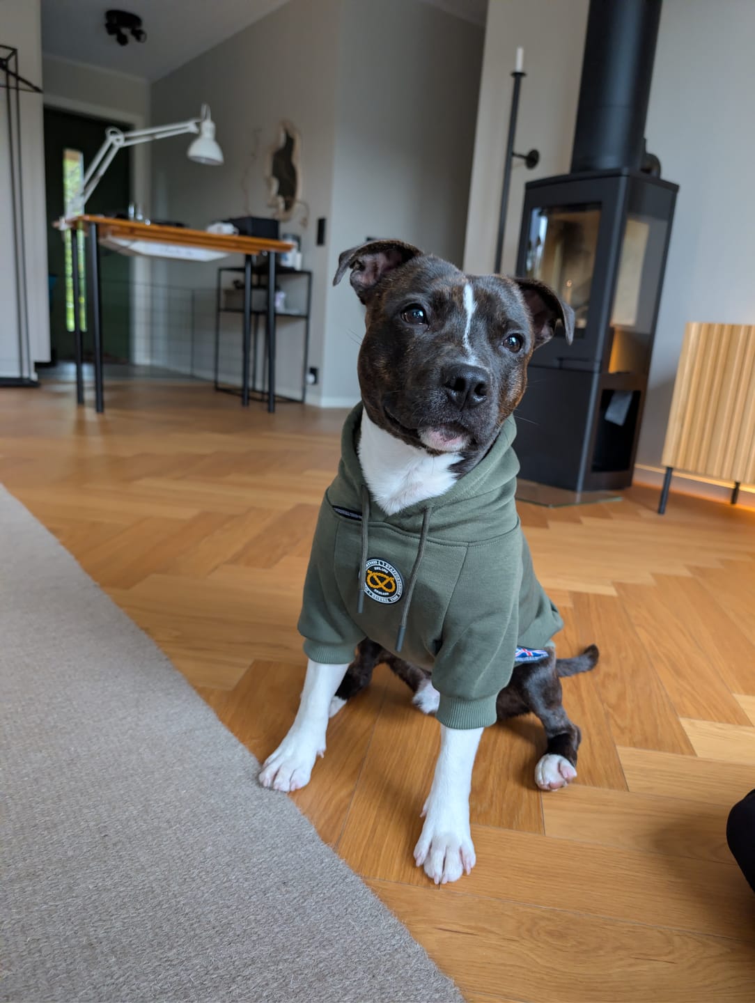 Customer photo review of Staffordshire Bull Terrier 1935® Hoodies - Green