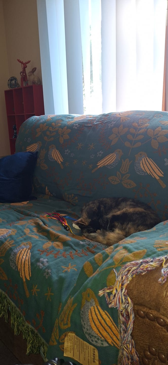 Customer photo review of 4 Layers Cotton Queen Sofa Throw Boho Throw Blanket