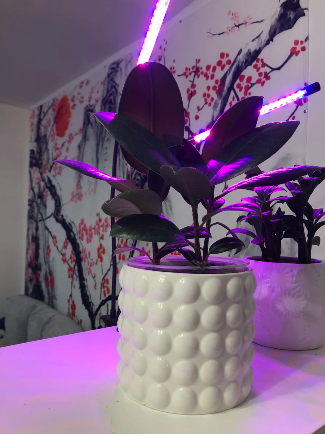 Customer photo review of White Ceramic Flowerpot