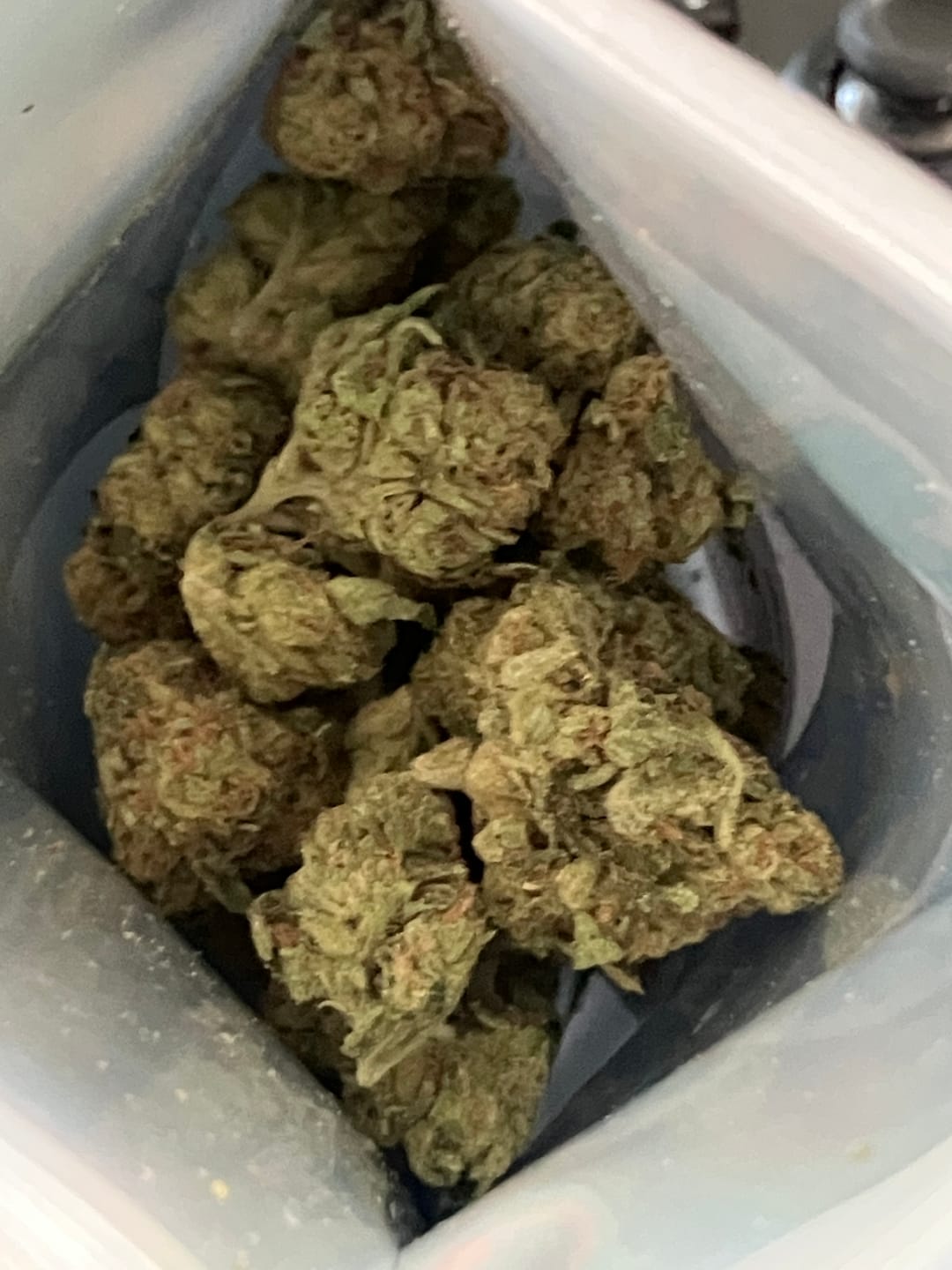 Customer photo review of White Gelato - 28 Grams - Indica