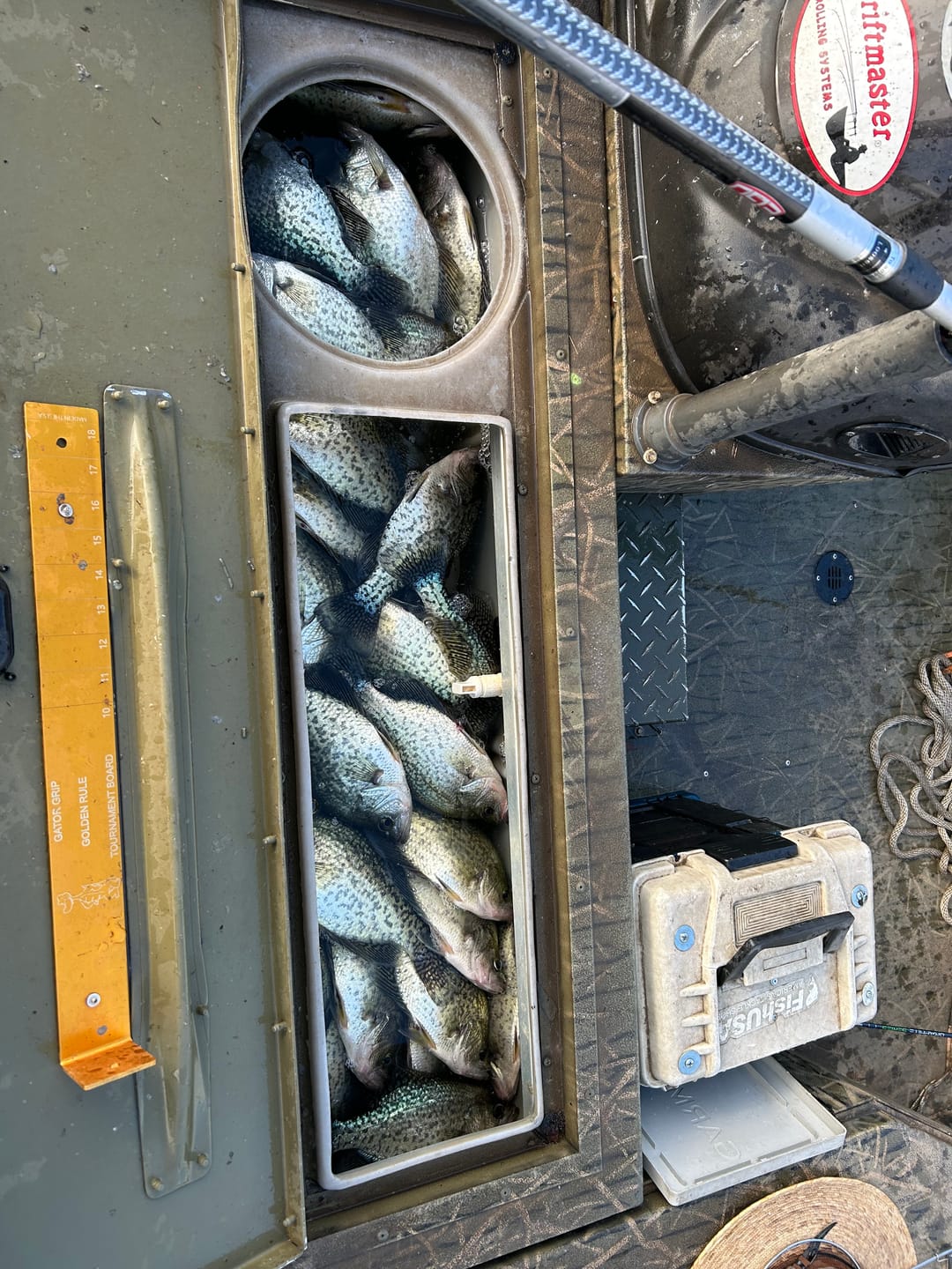 Customer photo review of Grand Slam Green