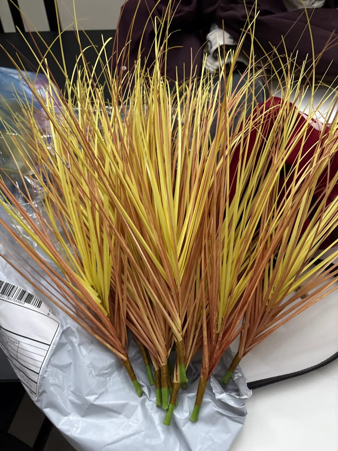 Customer photo review of Artificial Onion Grass Fake Greenery