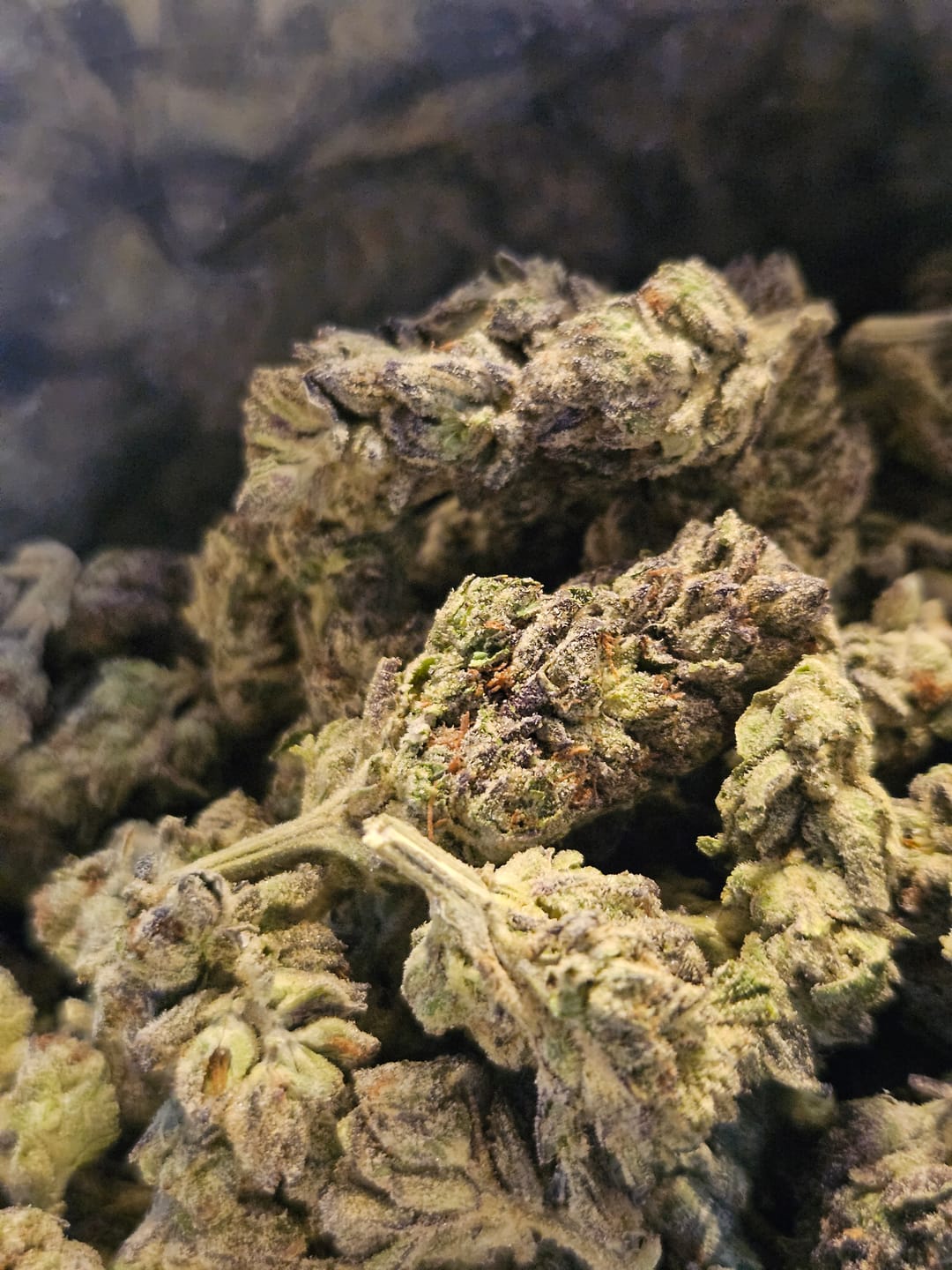 Customer photo review of Light Assist THCA Smalls