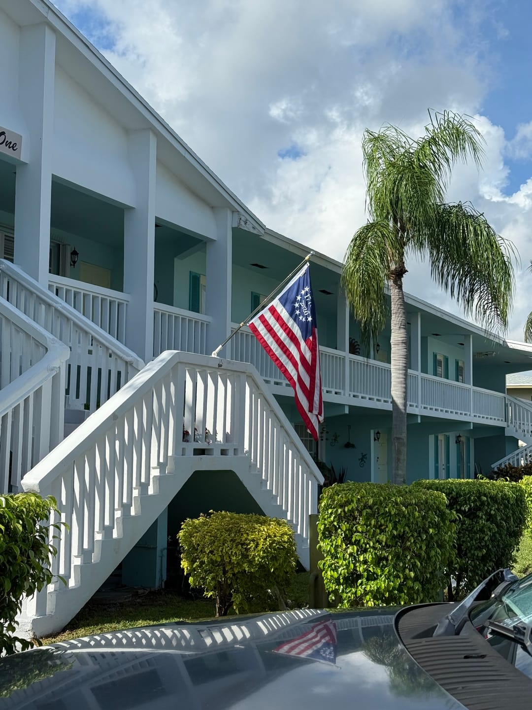 Customer photo review of America 250™ Stick Flag Set