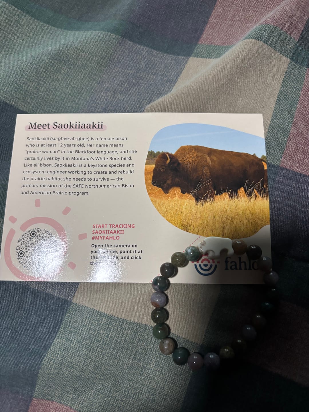 Customer photo review of The Mystery Bracelet