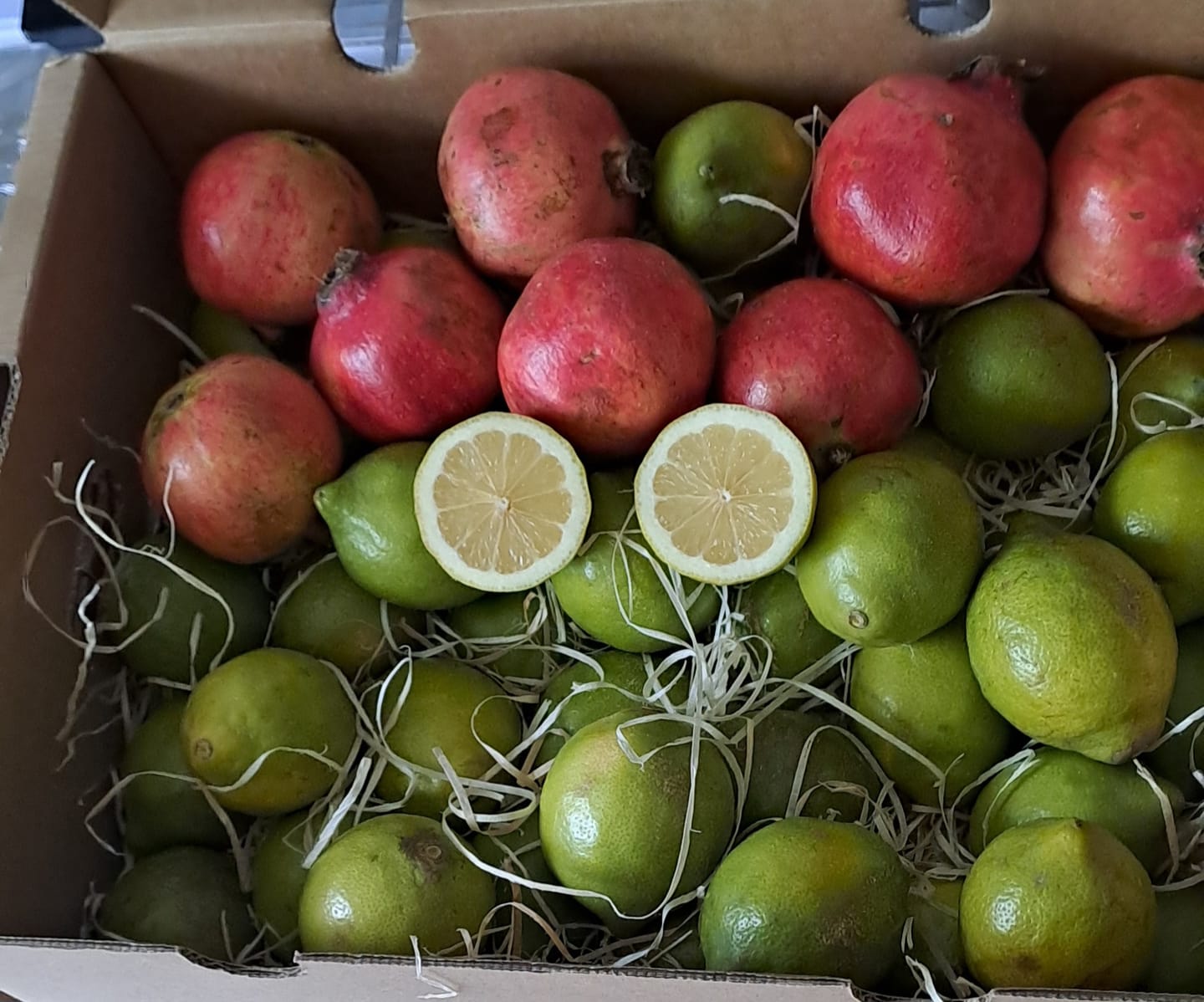 Customer photo review of Sommer-Zitronen (grün) Bio aus Sizilien 4kg Box Sparpreis % mit Schale verwertbar