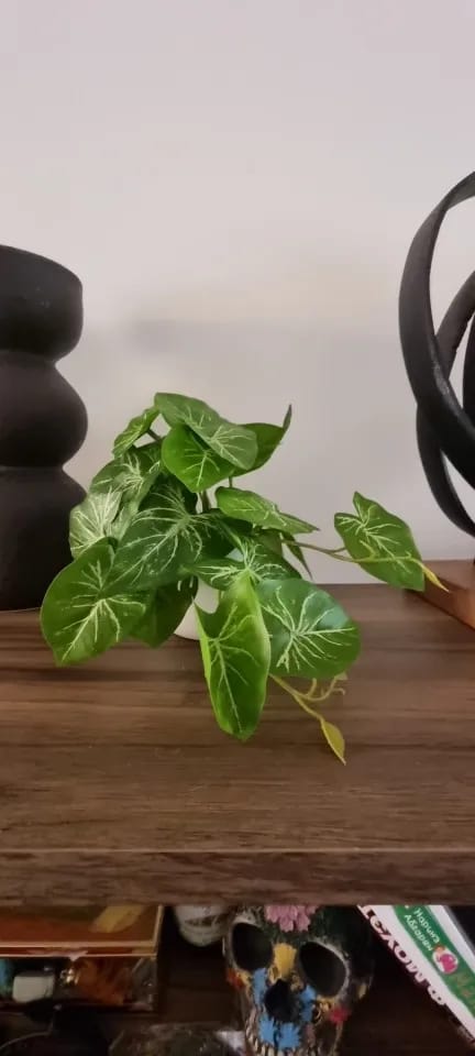 Customer photo review of Artificial Foliage Plant Pot Bonsai