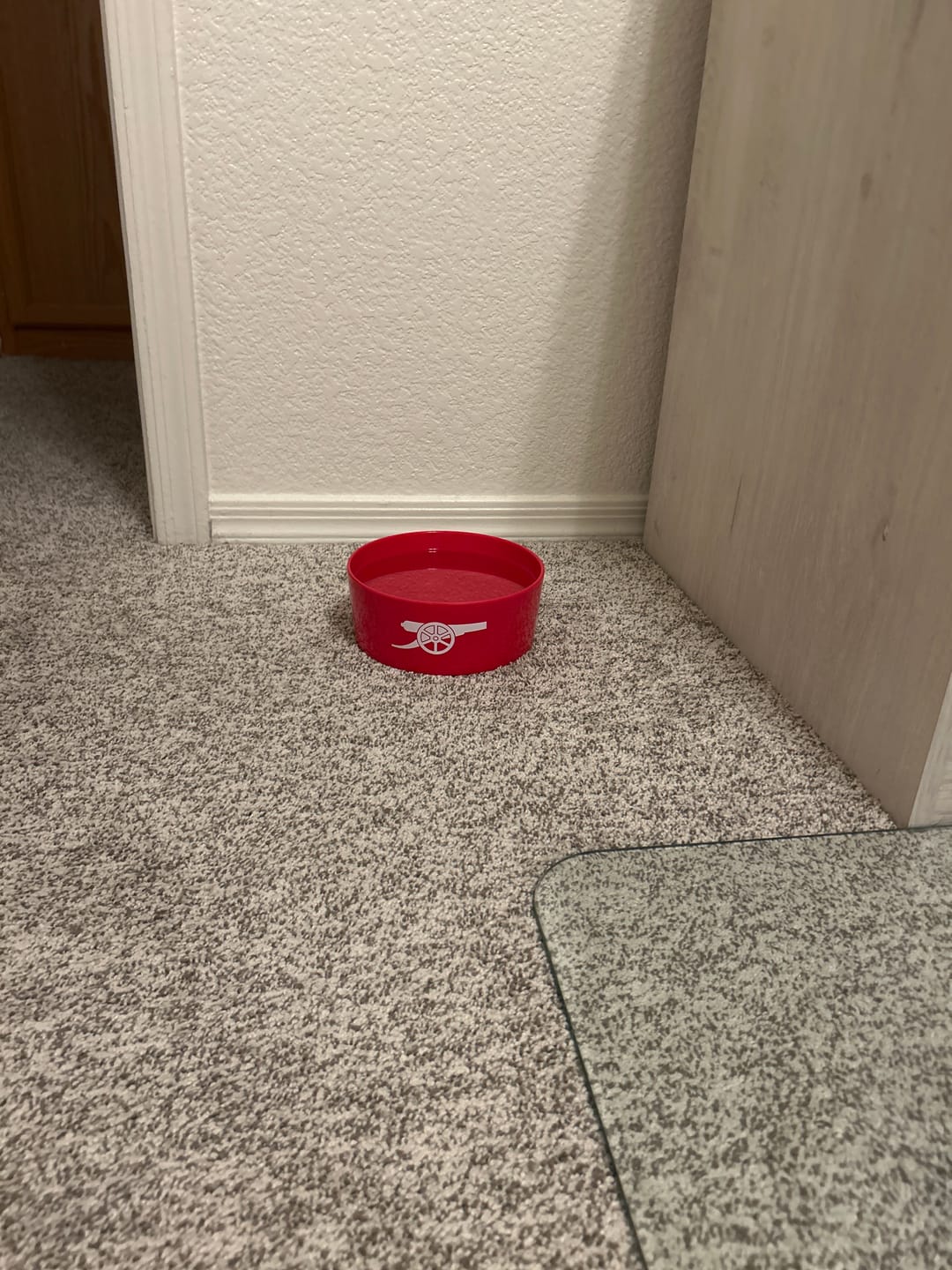 Customer photo review of Arsenal Pet Bowl