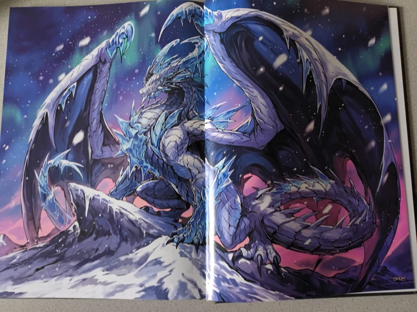 Customer photo review of Pack Artbook