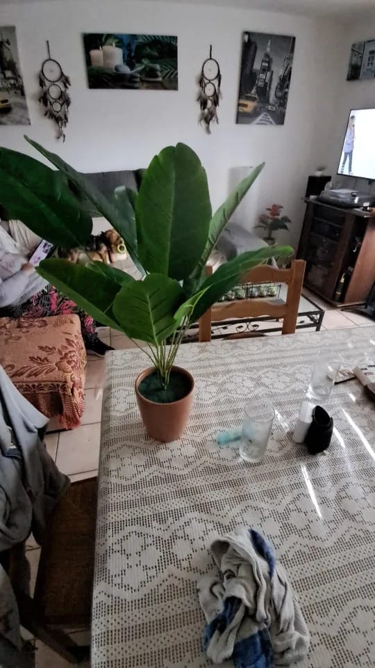 Customer photo review of Outdoor Artificial Green Plants