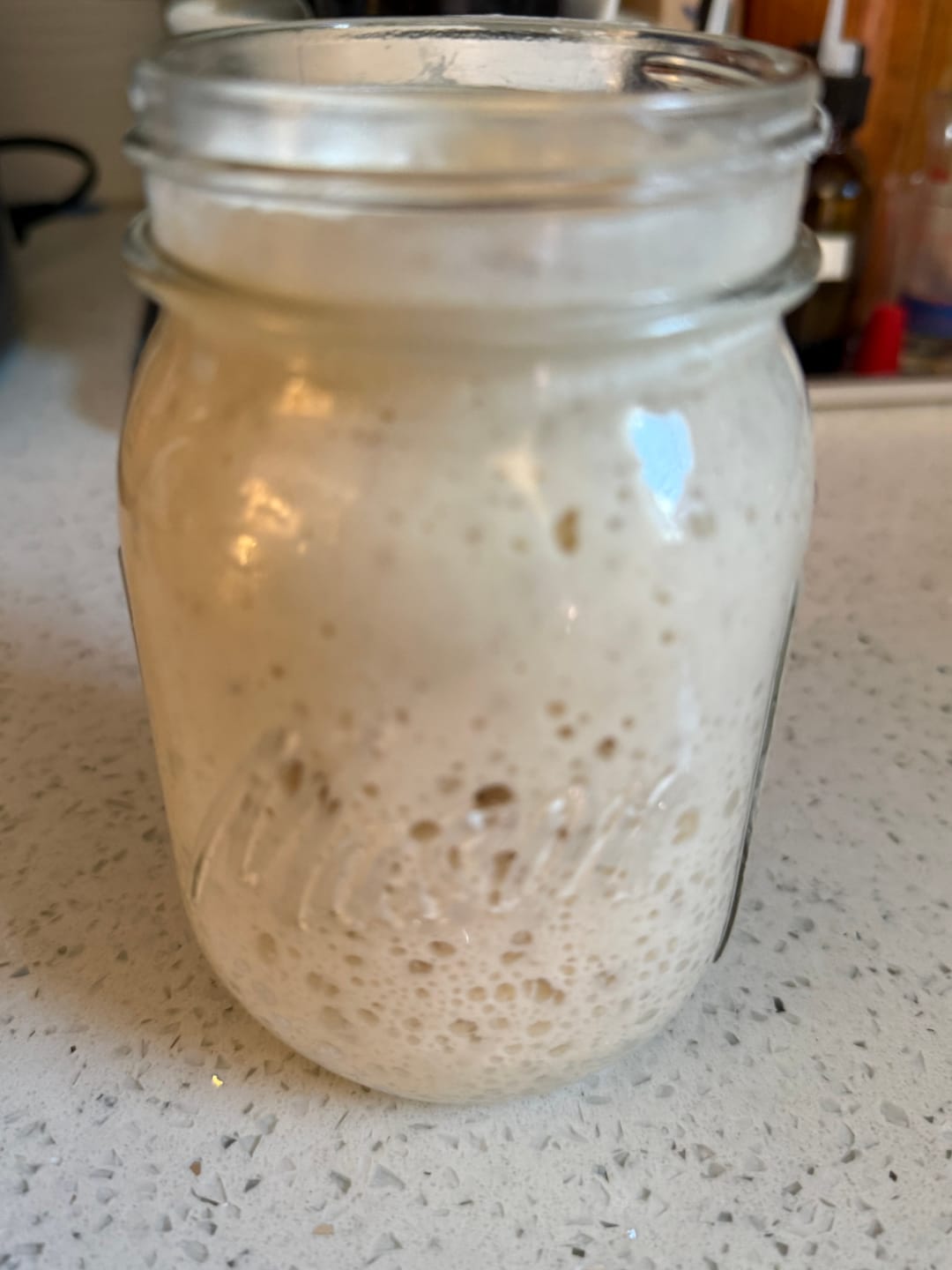 Customer photo review of Sourdough Starter Survival Guide | A Clear, Beginner-Friendly System for Feeding & Maintaining a Healthy Starter
