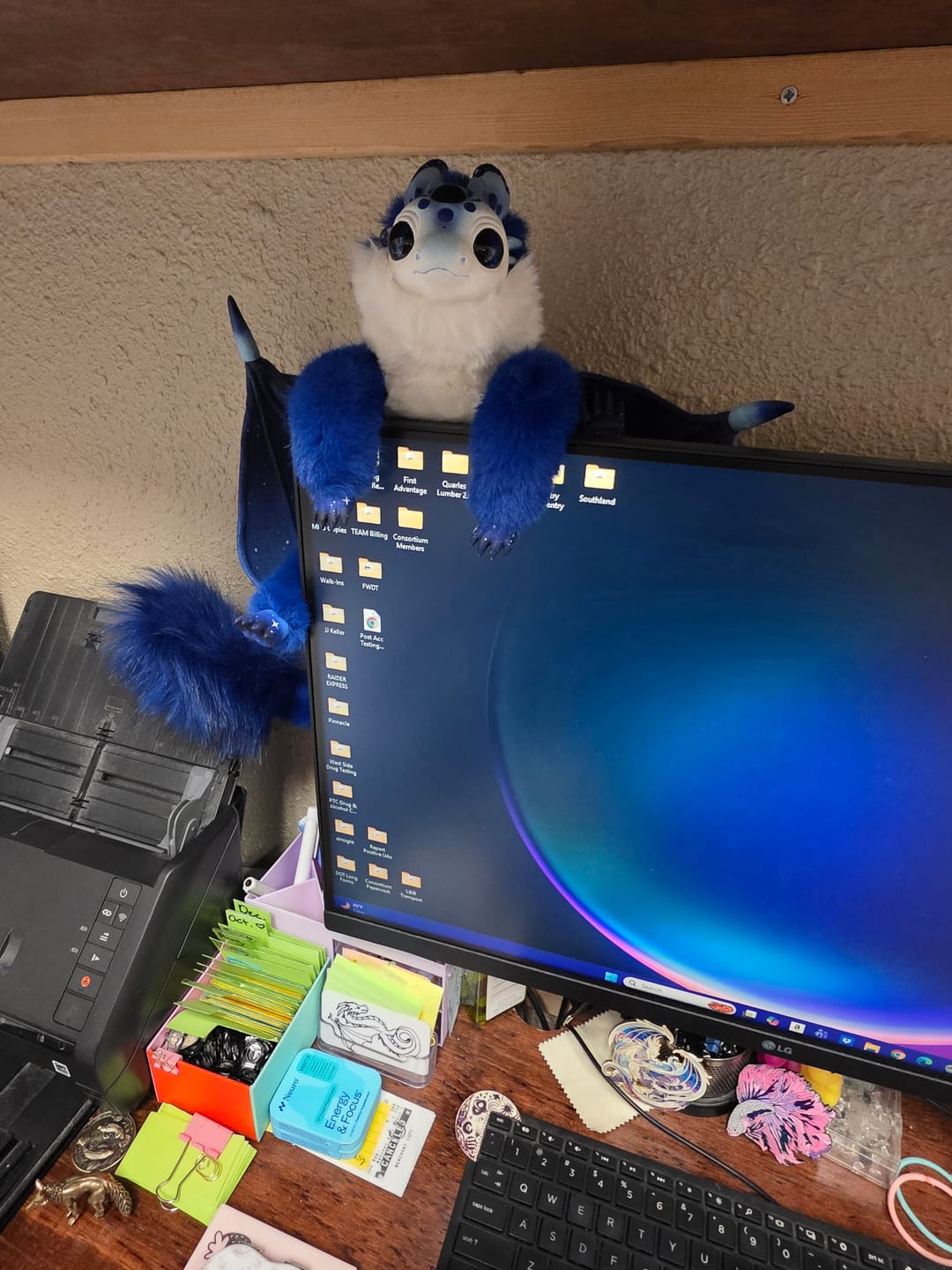 Customer photo review of Tidewing Dragon — Blue