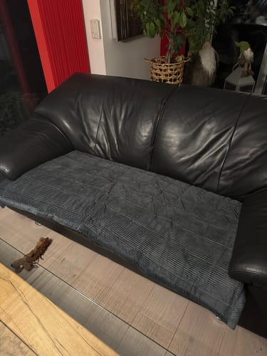 Customer photo review of Sofa Guard - Soft in Aktion