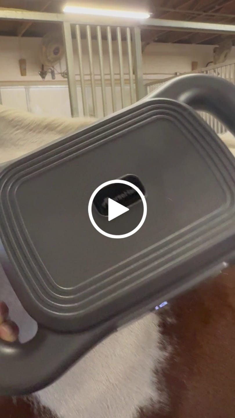 Customer video review of HorseHalo™ 8 Heads Red Light Massage Gun