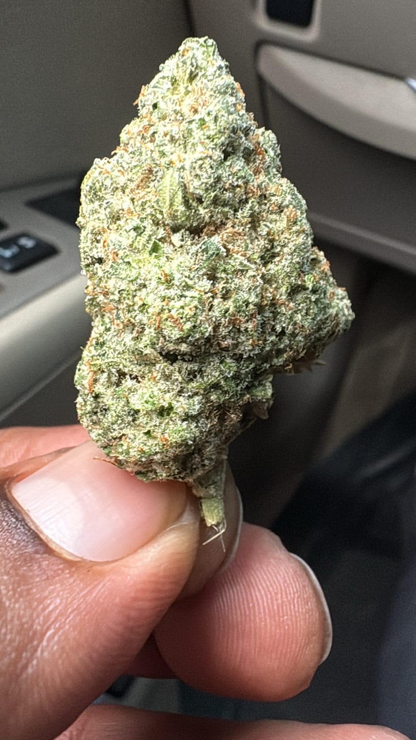 Customer photo review of Light Assist THCA Smalls