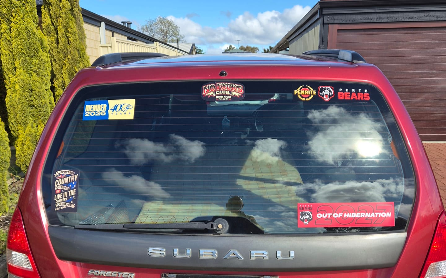 Customer photo review of Mixed Sticker 11 Pack