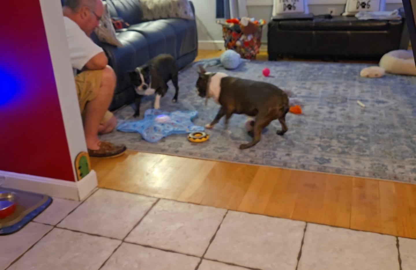 Customer photo review of Teasing UFO