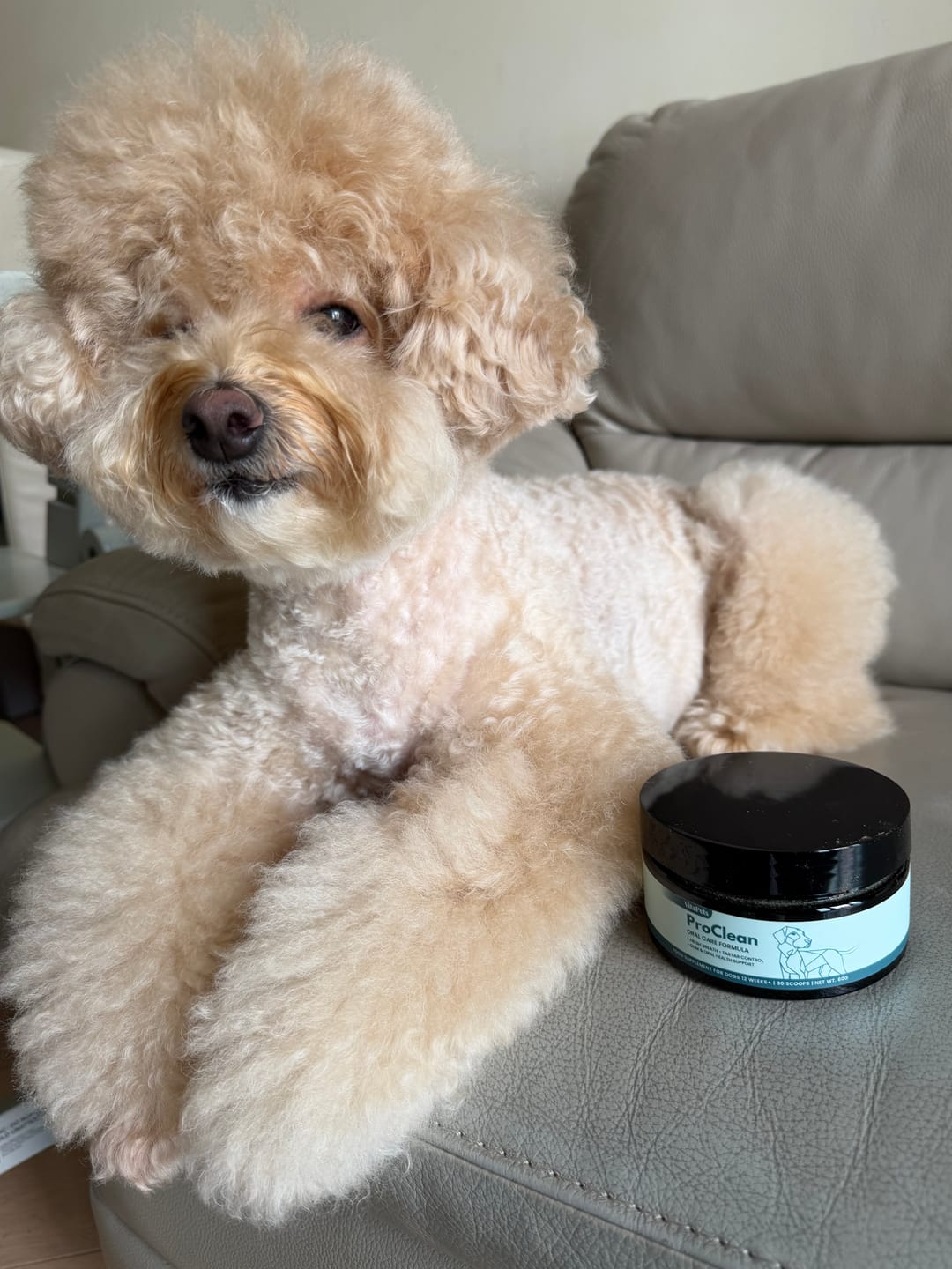 Customer photo review of ProClean™狗狗天然潔牙護齒配方