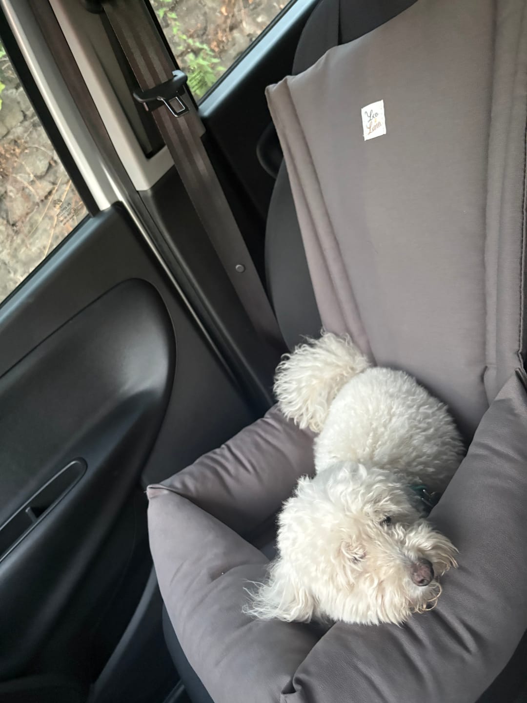 Customer photo review of Seggiolino Auto in Tessuto Dralon Grigio Elegance