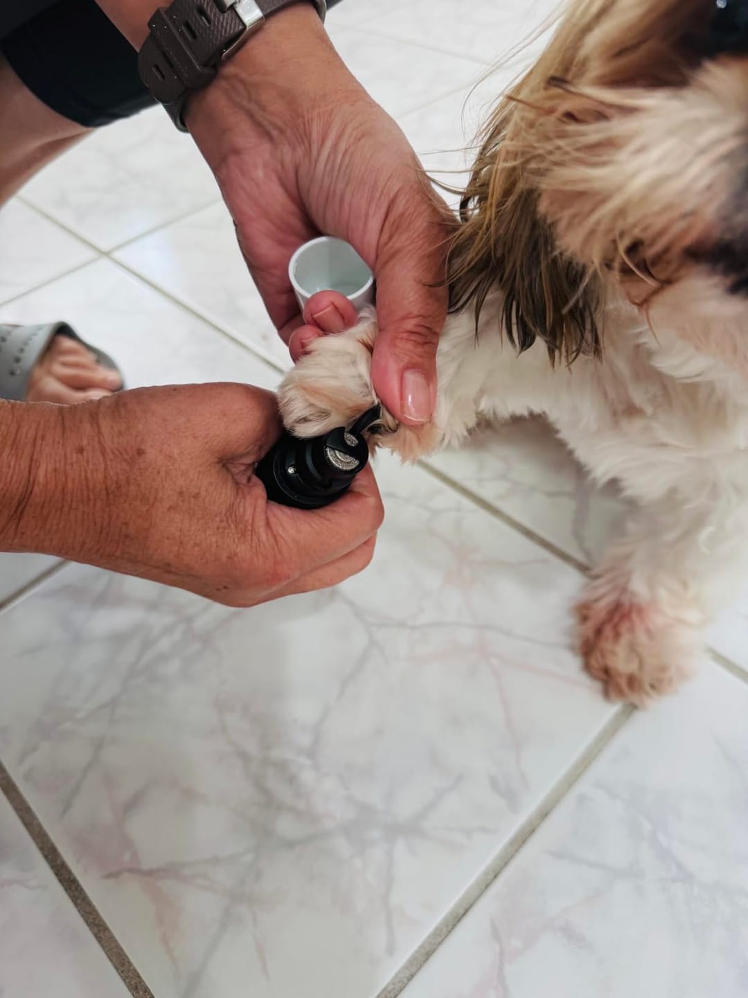 Customer photo review of Clawlegs™ GrindPaw
