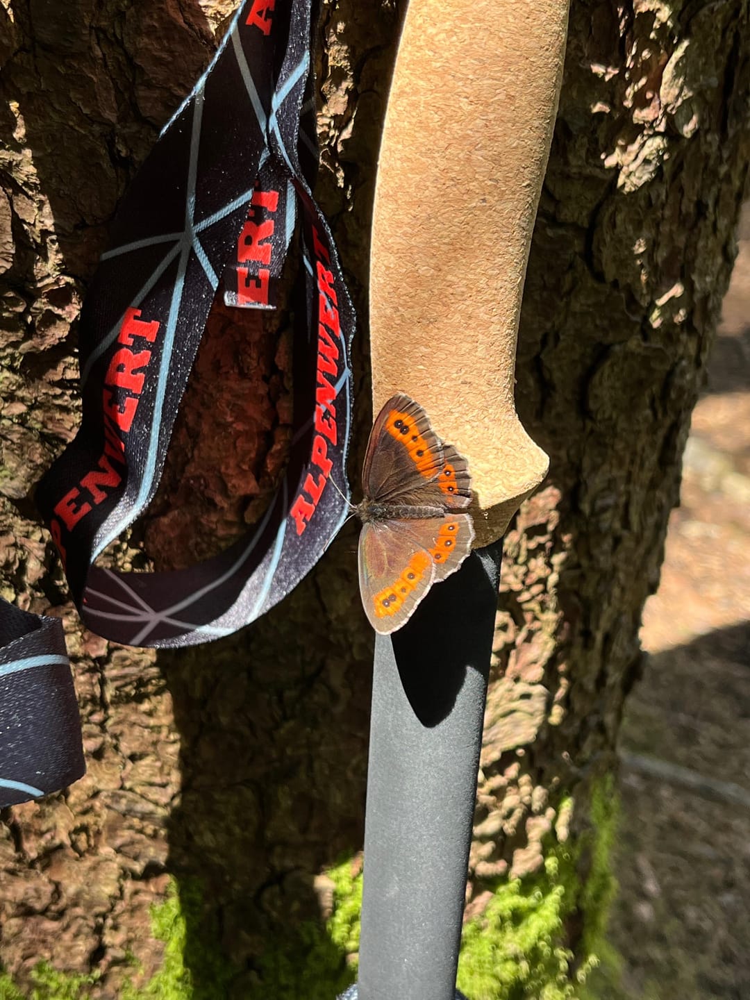 Customer photo review of Wanderstöcke Rugova Pro 3 faltbar & höhenverstellbar – Leicht & stabil