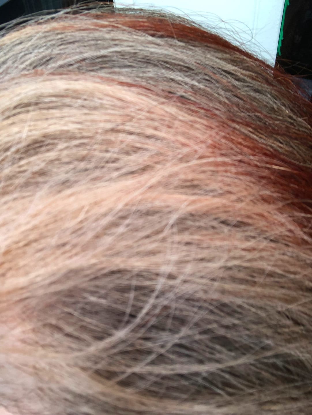 Customer photo review of Nutri Glow Organic Indigo Powder