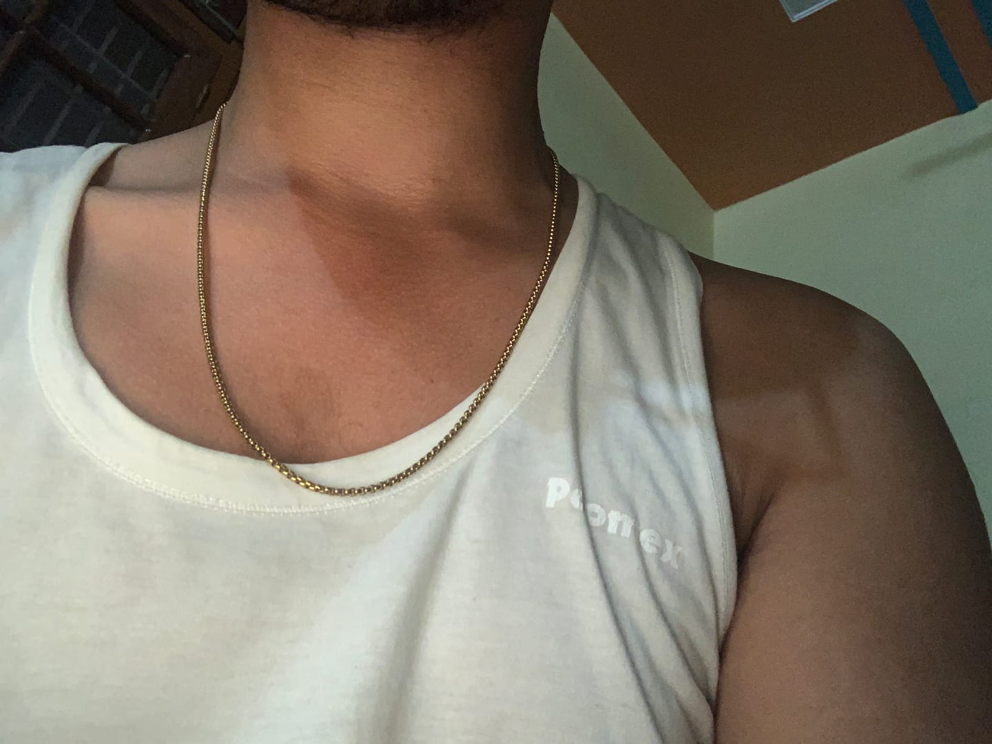 Customer photo review of Midnight Prism Necklace- Gold