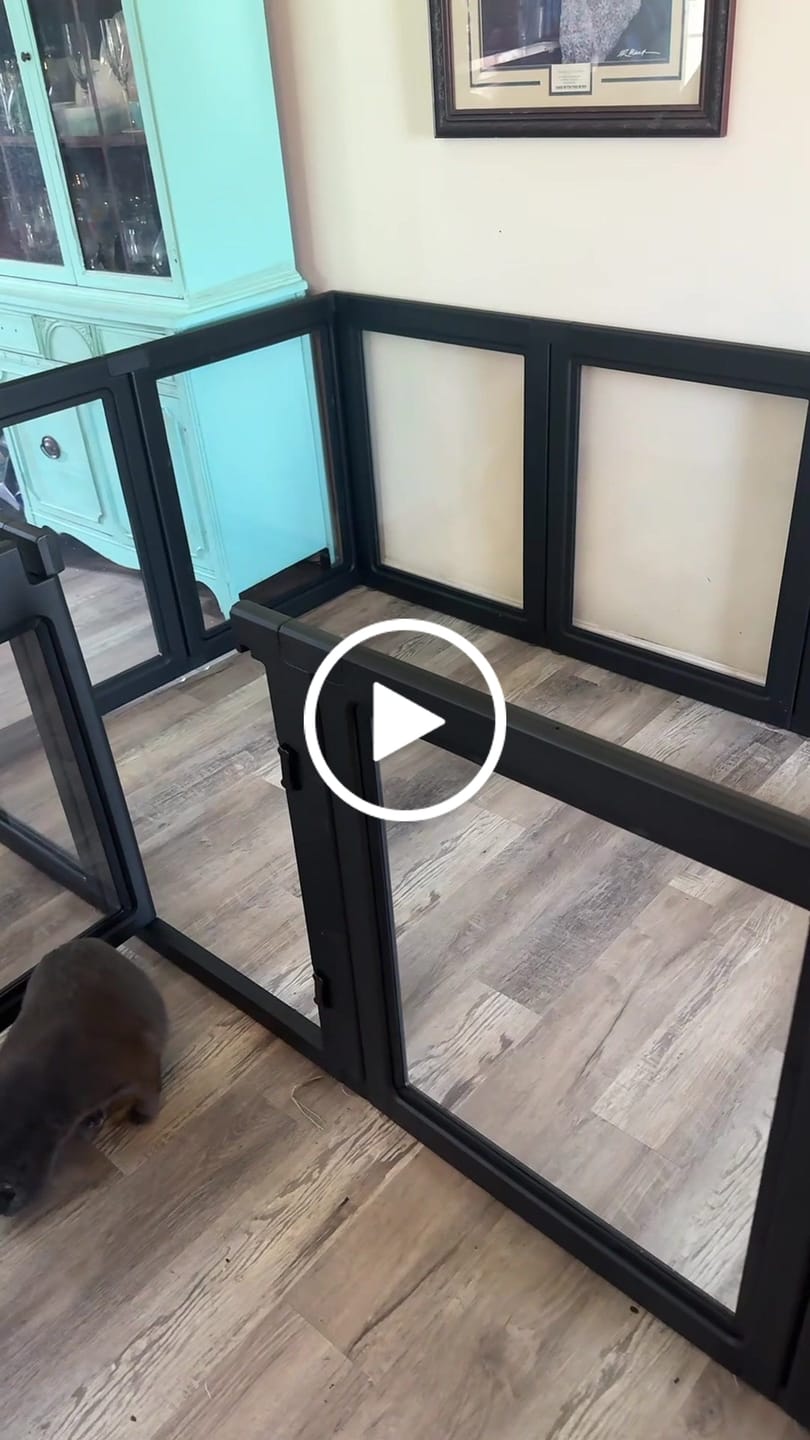 Customer video review of AuraSpace Acrylic Indoor Dog Playpen for Small to Medium Dogs