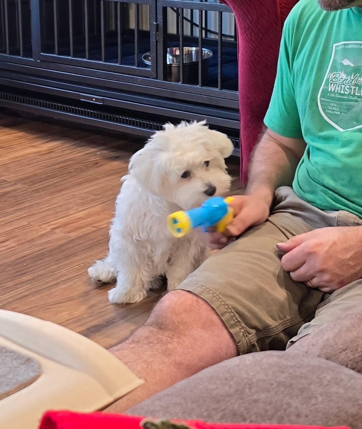 Customer photo review of Calming Puff Launcher (100 x soft fuzzy puff balls)