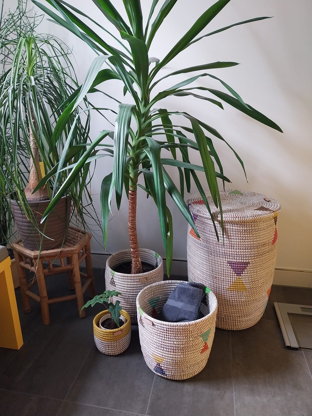 Customer photo review of Deko-/ Pflanzenkorb  - extra small – Aduna