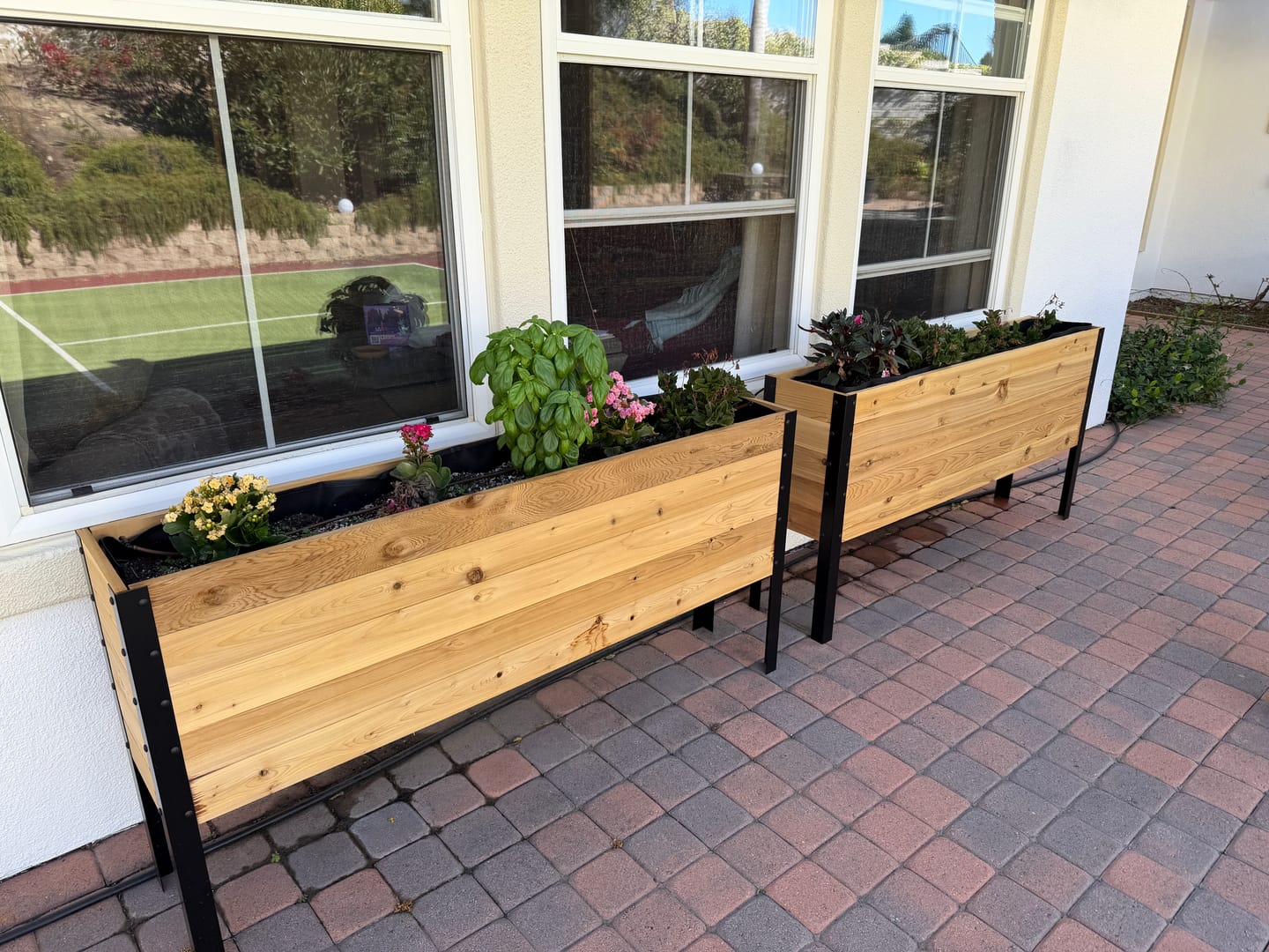 Customer photo review of 11.5″ x 60″ Deep Root Raised Garden Bed - 30″ TALL / Select Grade