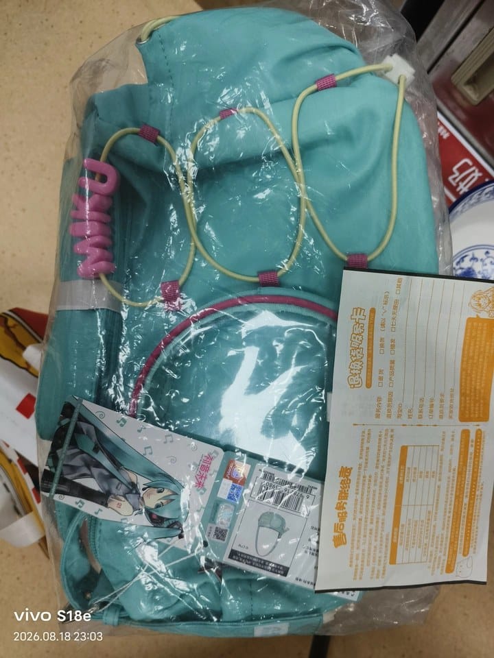 Customer photo review of Officially Licensed Hatsune Miku Commuter Ita Bag – Large Capacity Shoulder Crossbody Bag