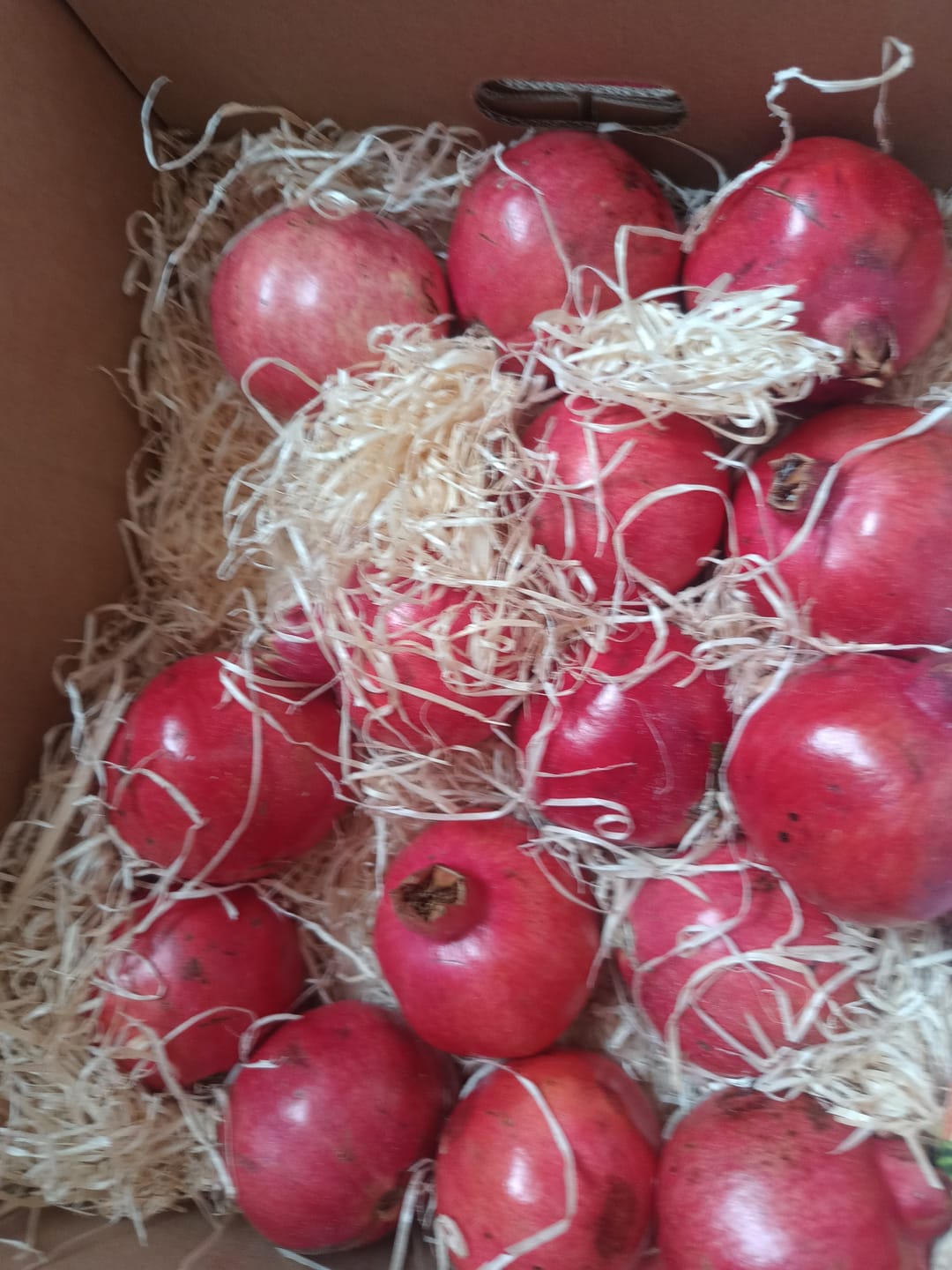 Customer photo review of Granatapfel Acco Bio von Apostolis Kreta