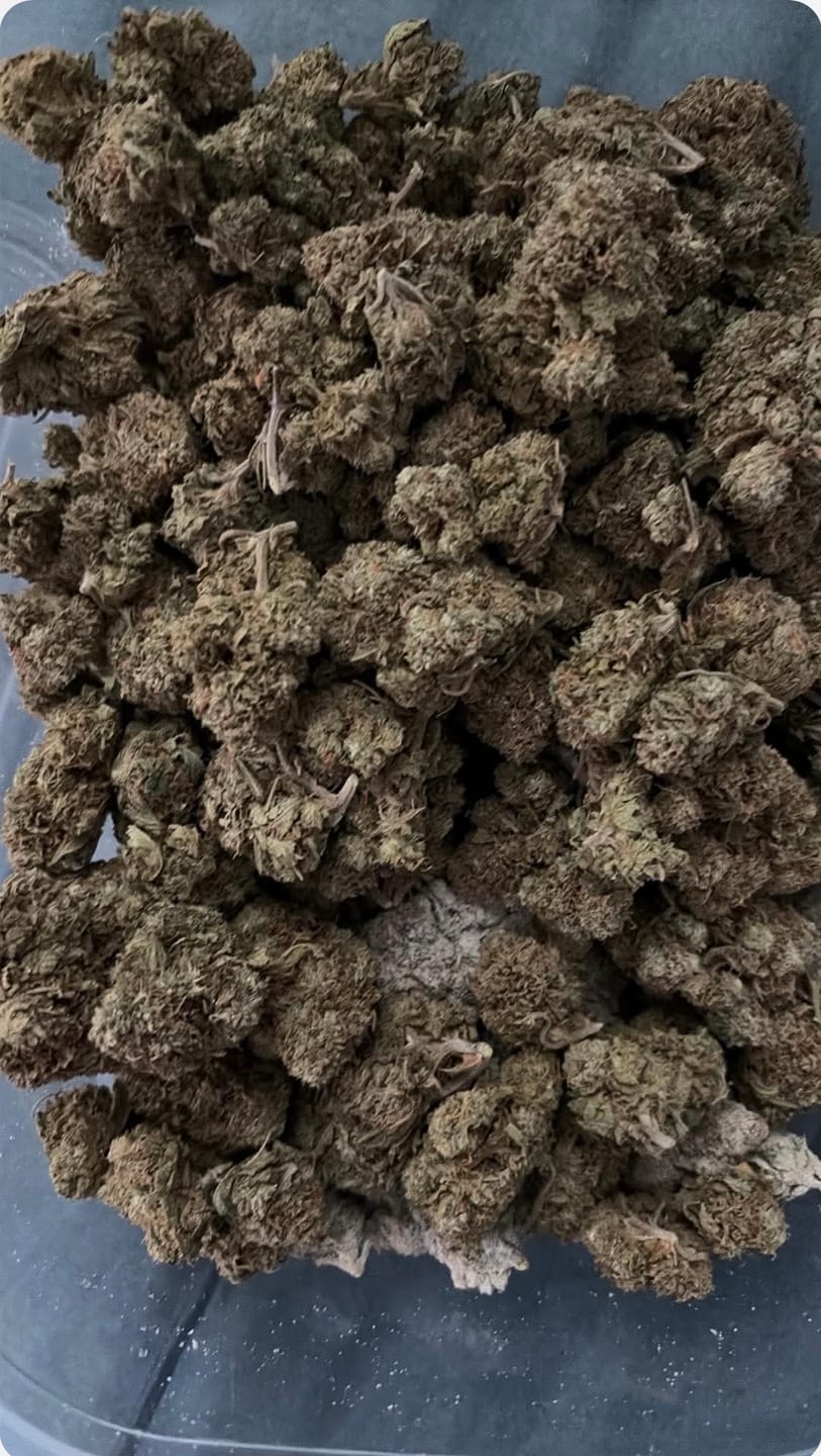Customer photo review of THCA Snowballs - 67% THCA
