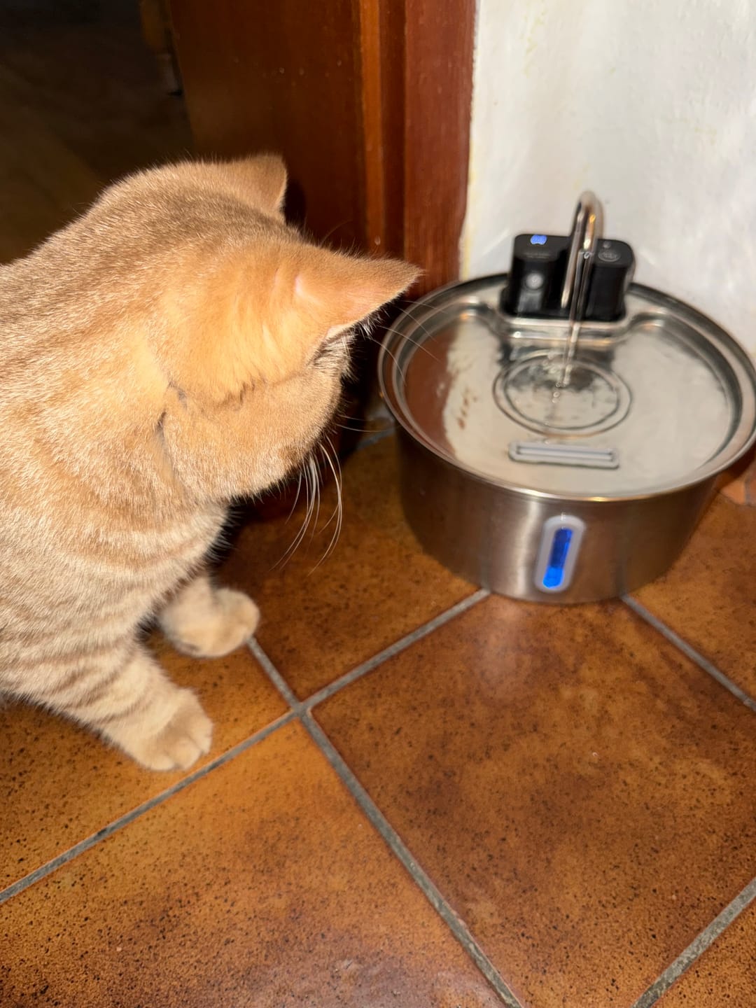 Customer photo review of NordFlow 2.0 Filter Set